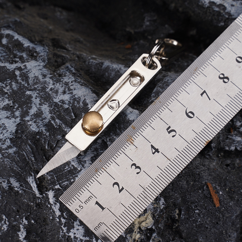 Stainless Steel Mini Knife EDC – Edc Carry Pocket Knife Bewertung und Preis